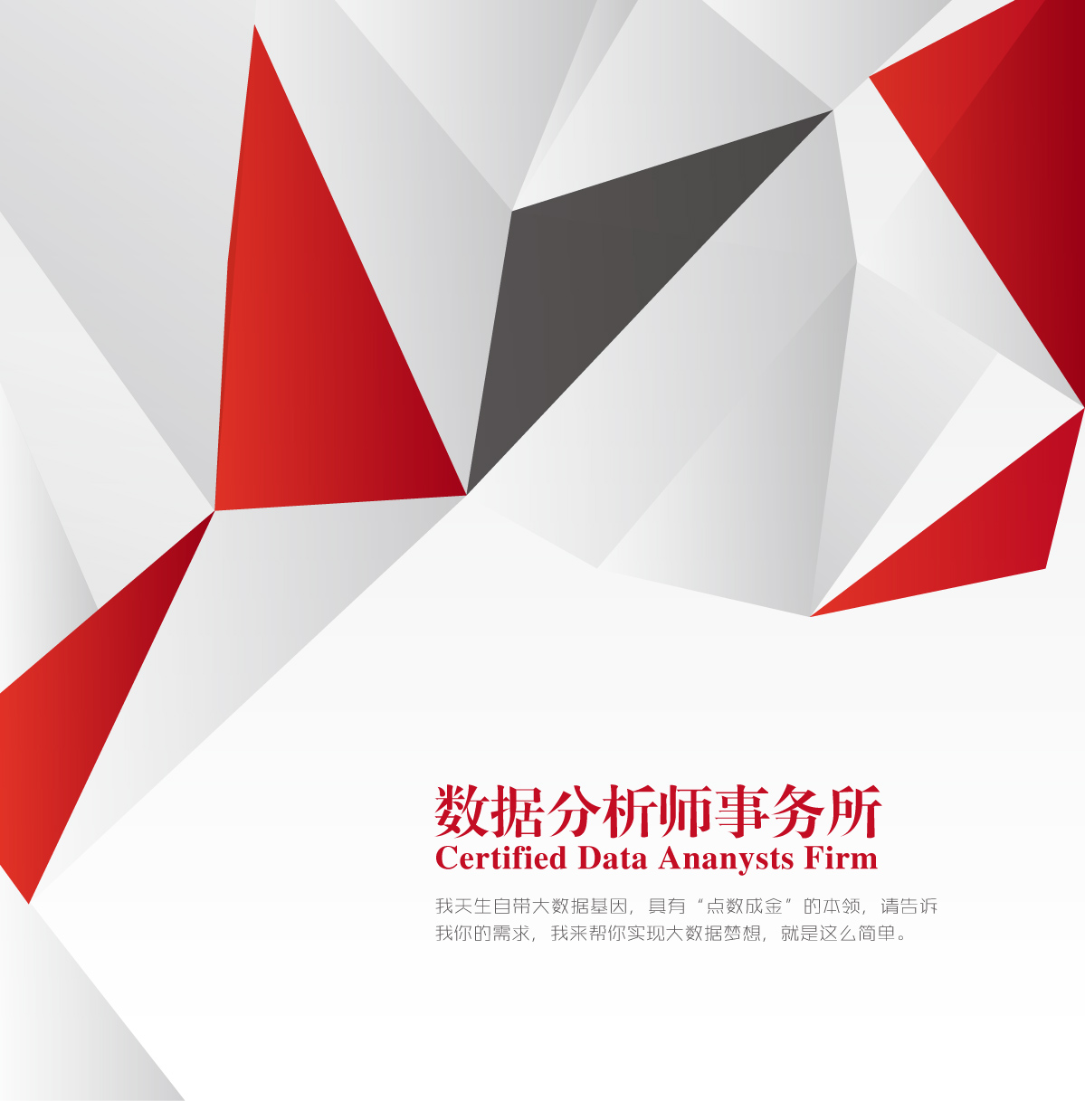 数据分析师事务所简介