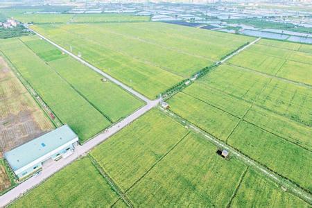 网友留言：建农业大数据平台，让农民不盲目